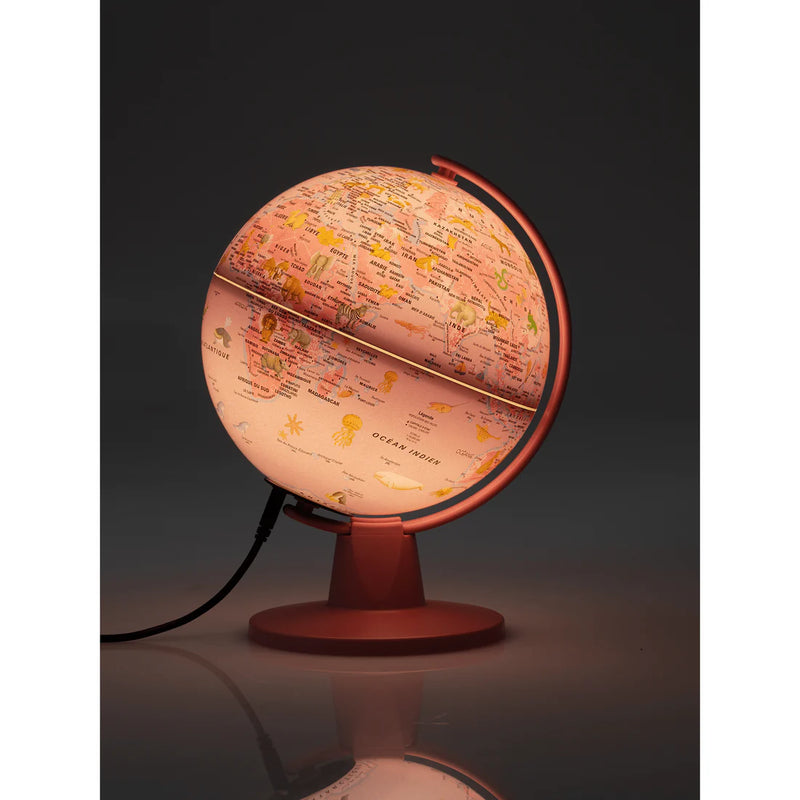 Tecnodidattica - LUCE - PINK ZOO FR - 16cm