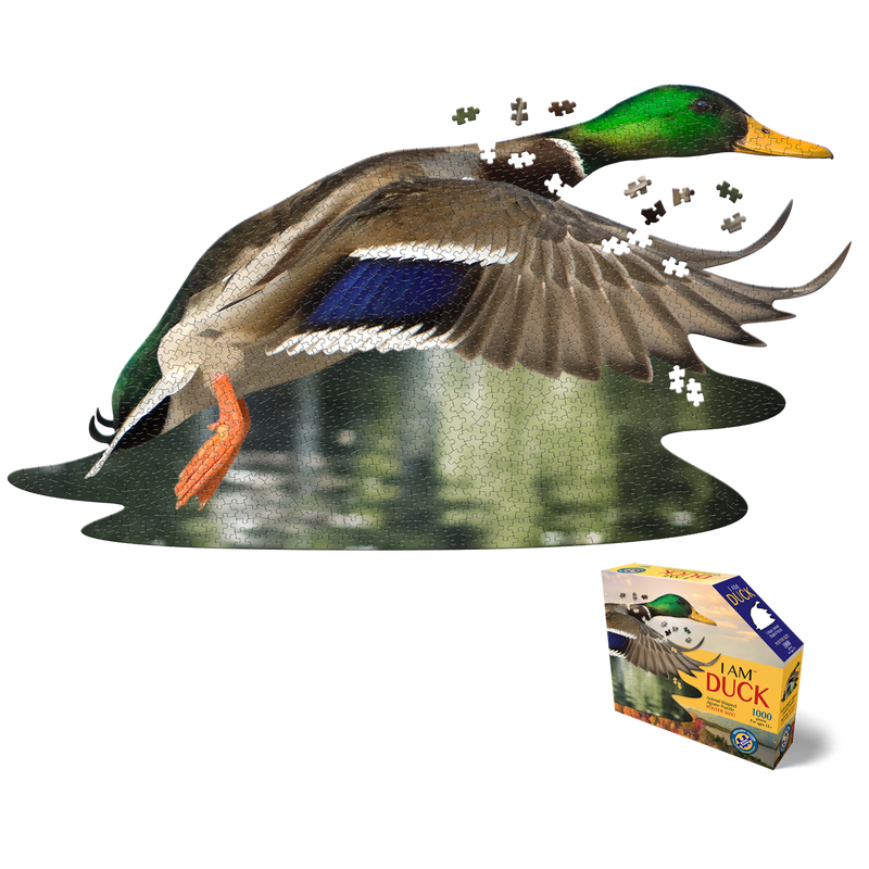 Madd Capp Puzzles – I Am Duck Jigsaw Puzzle | 1000 Pieces – puzzle and packaging