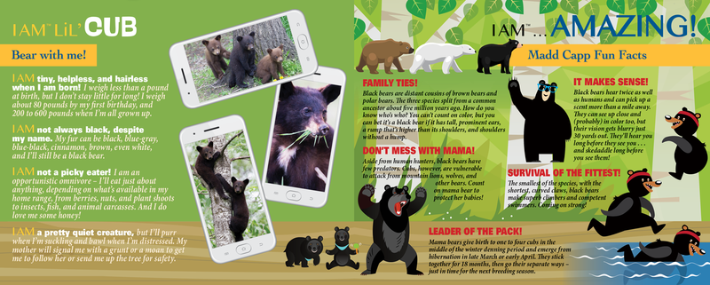 Madd Capp Puzzles – I Am Lil' Cub Jigsaw Puzzle | 100 Pieces – educational Fun Facts insert