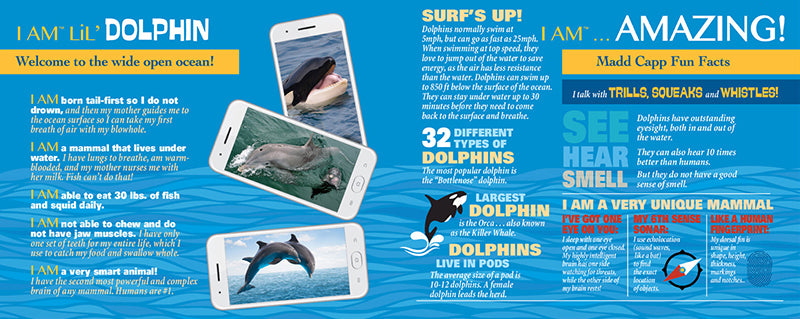 Madd Capp Puzzles – I Am Lil' Dolphin Jigsaw Puzzle | 100 Pieces – educational Fun Facts insert