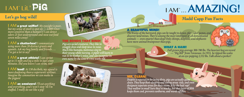 Madd Capp Puzzles – I Am Lil' Pig Jigsaw Puzzle | 100 Pieces – educational Fun Facts insert