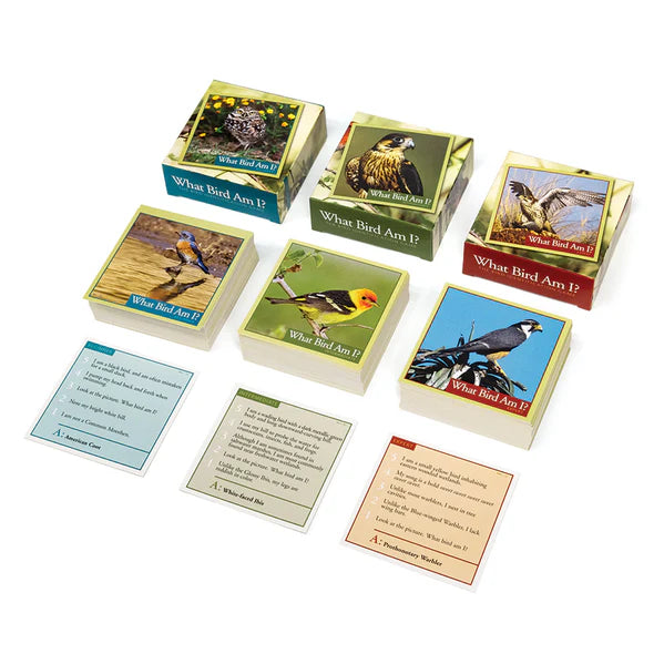 Outset Media - What Bird Am I?