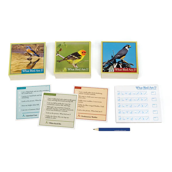 Outset Media - What Bird Am I?