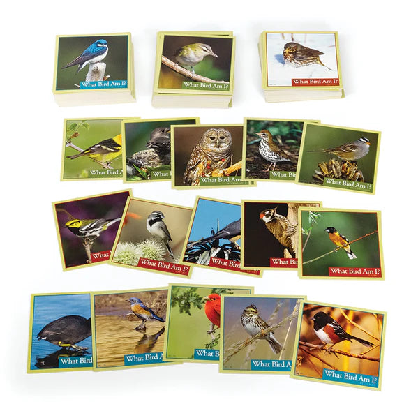 Outset Media - What Bird Am I?