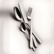 Mepra - Stoccolma Salad Serving Set - 24 Pcs. - Mirror – MPR-107122024 – Image 2