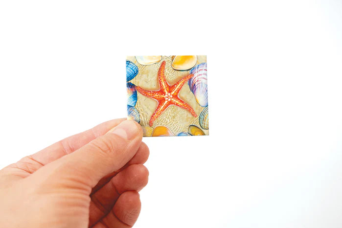 Outset Media - Magic Square Puzzle: Tidal Pool (49pc)