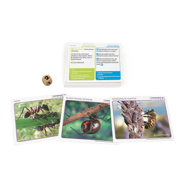 Outset Media - Professor Noggin's (Insects and Spiders)