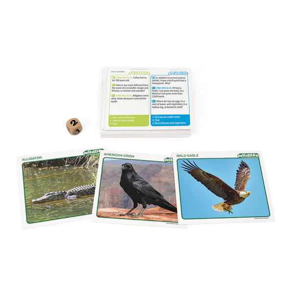 Outset Media - Professor Noggin's (Wildlife of North America)