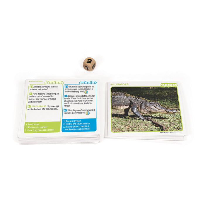 Outset Media - Professor Noggin's (Reptiles And Amphibians)