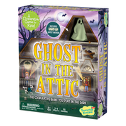 GHOST IN THE ATTIC