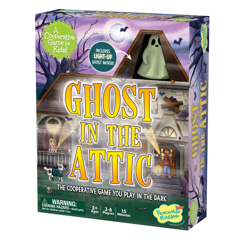 GHOST IN THE ATTIC