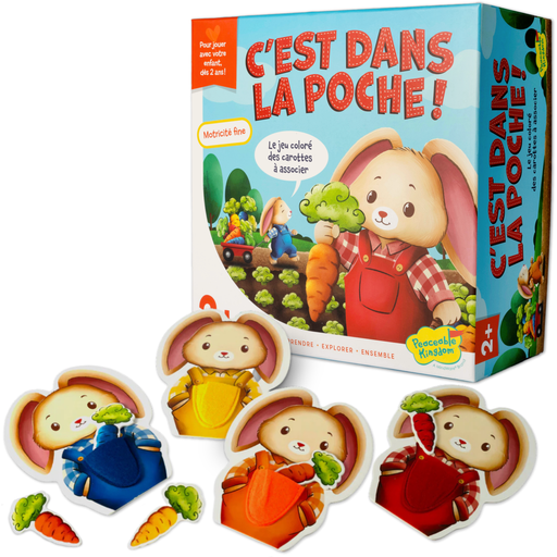 C'EST DANS LA POCHE