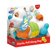 PULL ALONG DOG