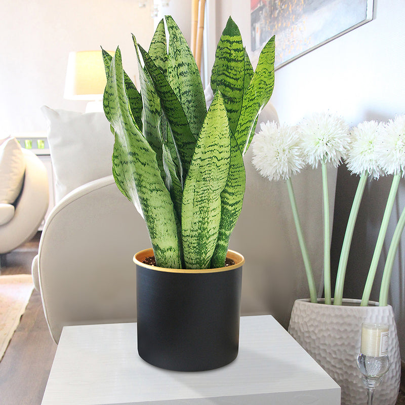 LXPRIMO Aluminum Tabletop Vases (Set of 3) – view 5