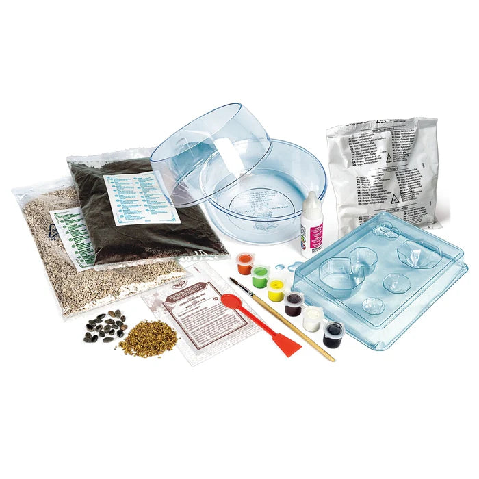 Clementoni - HARRY POTTER - TERRARIUM