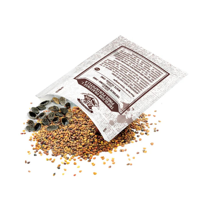 Clementoni - HARRY POTTER - TERRARIUM