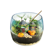 HARRY POTTER - TERRARIUM