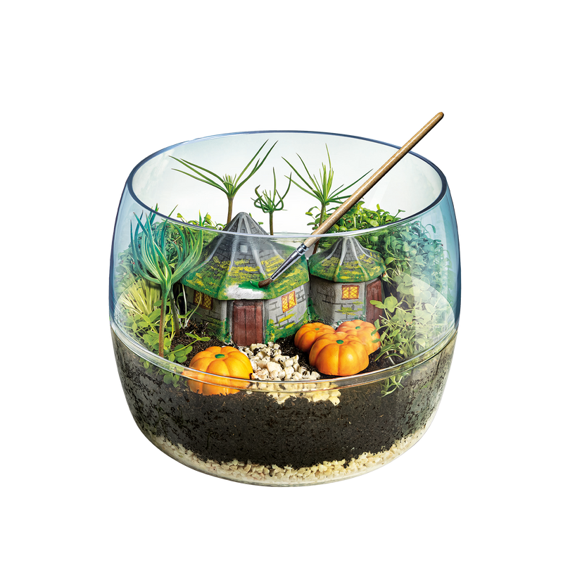 HARRY POTTER - TERRARIUM