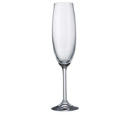 Crystalite Bohemia - Gastro/Colibri Champagne Flute Stemmed Glass 220 ml, Set of 6