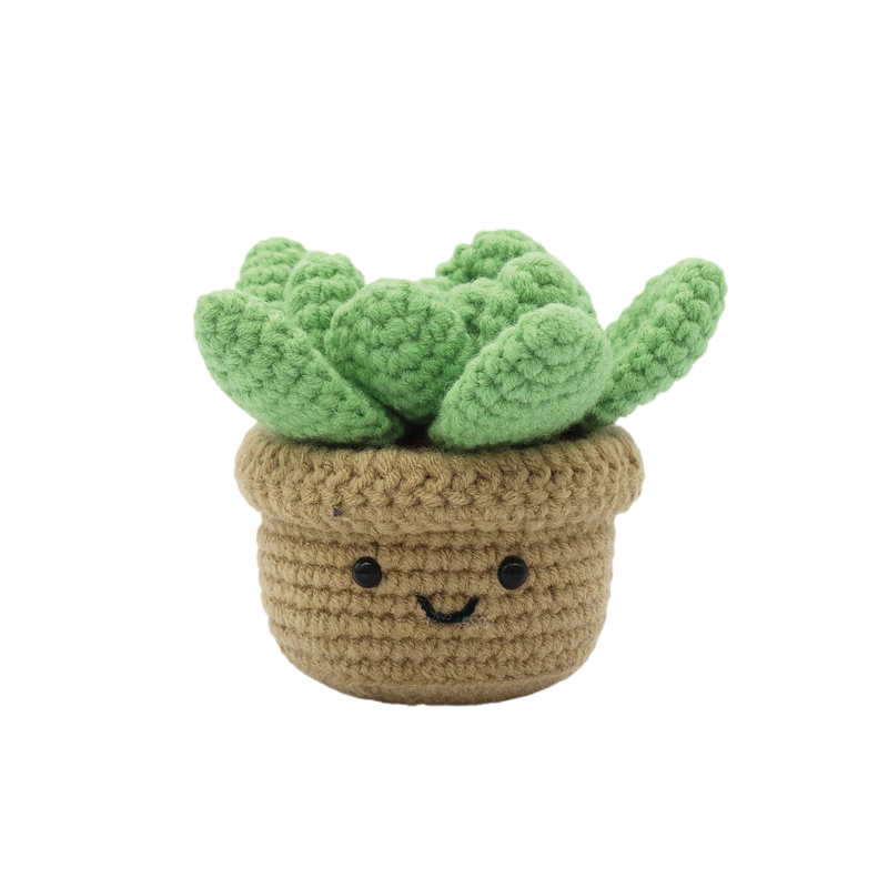 SUCCULENT DIY CROCHET KIT