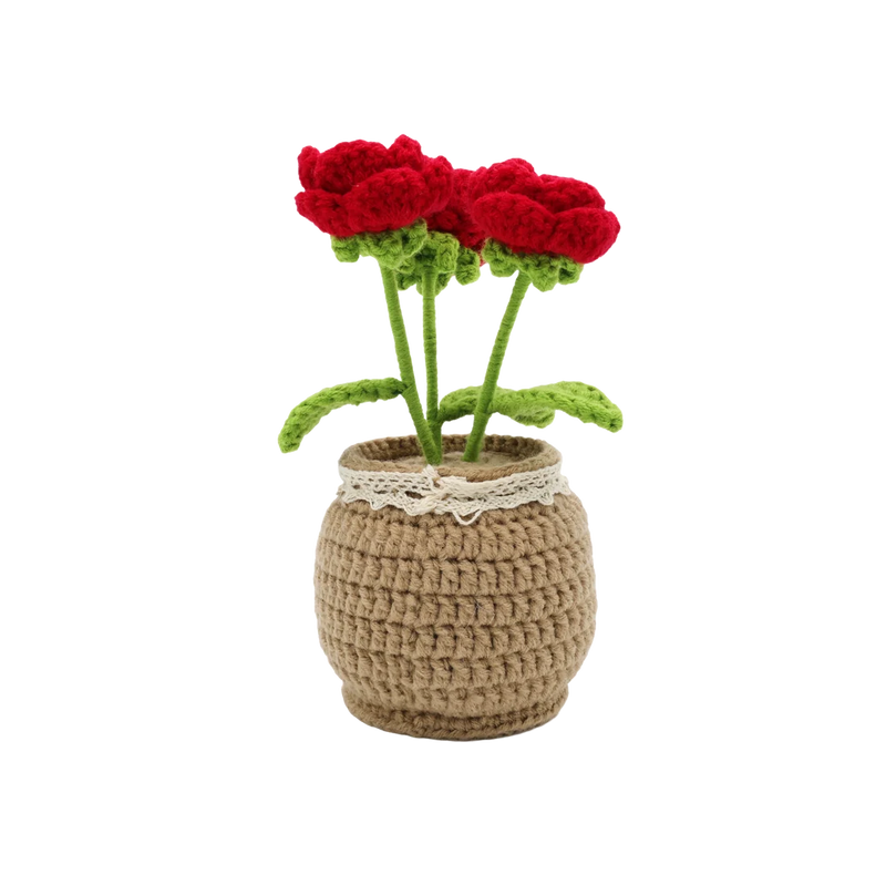 Broderie - KIT DE CROCHET DIY ROSES