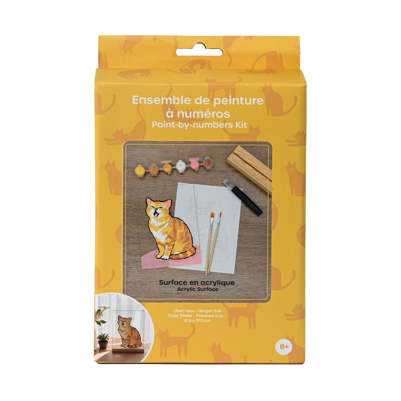 Broderie - PEINTURE PAR NUMÉROS KIT SUR SURFACE ACRYLIQUE - CHAT