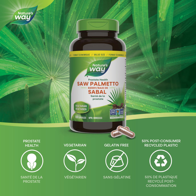 Nature’s Way – Saw Palmetto Berry – 585 mg | 180 Vegetarian Capsules – vegetarian and Non-GMO features