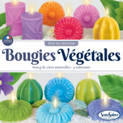 VEGETABLE CANDLES