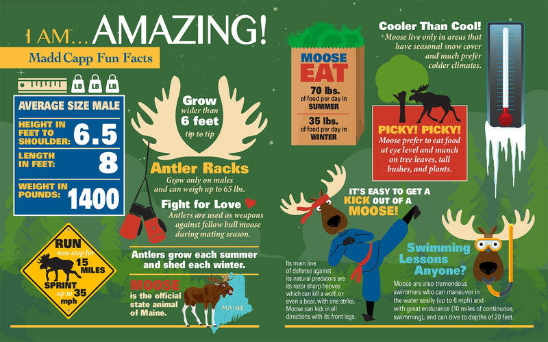 Madd Capp Puzzles – I Am Moose Jigsaw Puzzle | 700 Pieces – educational Fun Facts insert