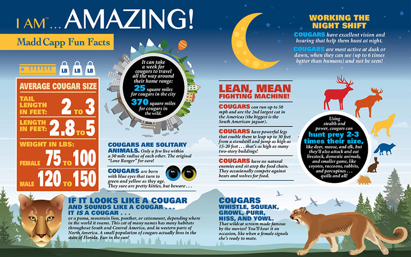 Madd Capp Puzzles – I Am Cougar Jigsaw Puzzle | 300 Pieces – educational Fun Facts insert