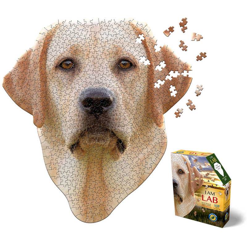 Madd Capp Puzzles – I Am Lab Jigsaw Puzzle | 550 Pieces – puzzle and packaging