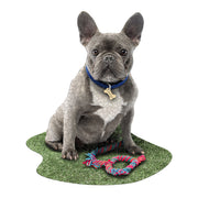 Madd Capp Puzzles – I Am Frenchie Jigsaw Puzzle | 550 Pieces – completed puzzle