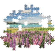 PZ1500: LUPINS AT LAKE TEKAPO