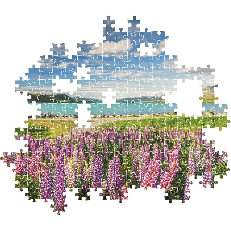 PZ1500: LUPINS AT LAKE TEKAPO