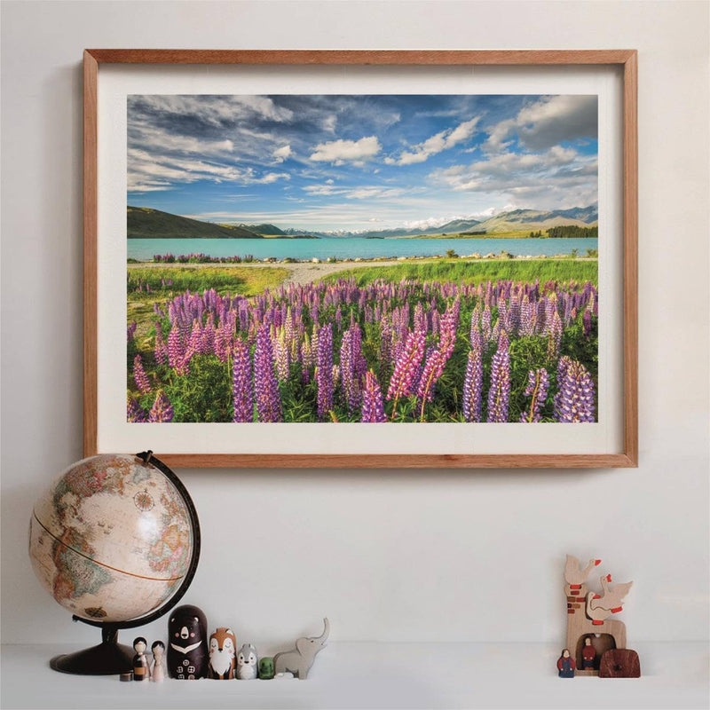 PZ1500: LUPINS AT LAKE TEKAPO
