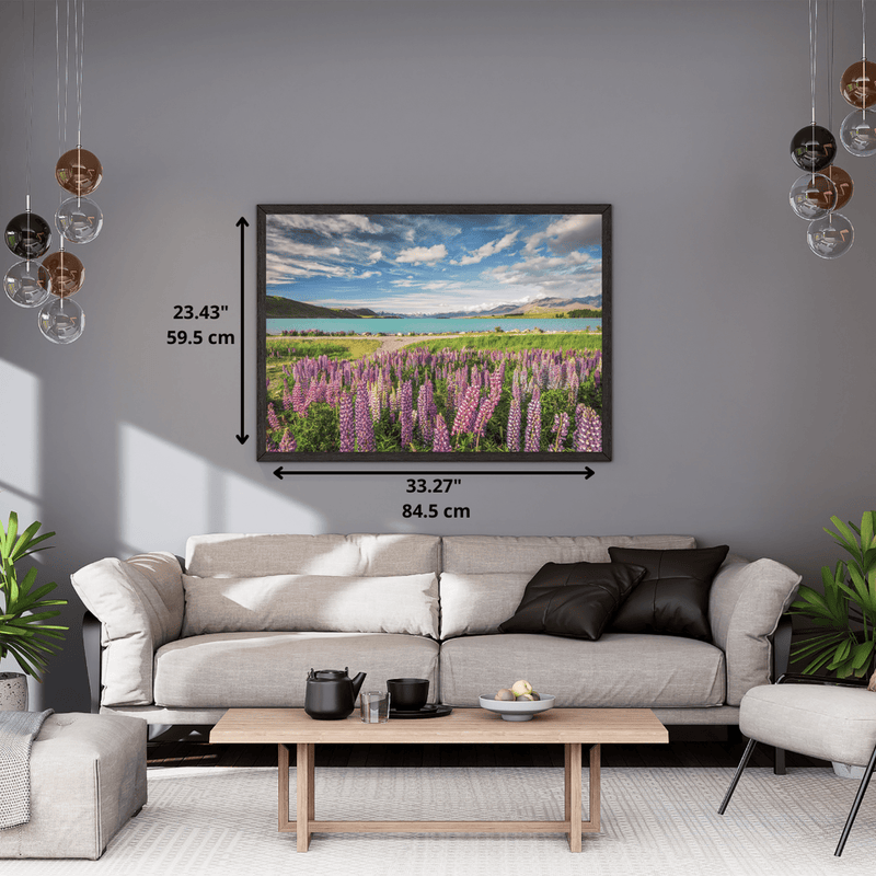 PZ1500: LUPINS AT LAKE TEKAPO