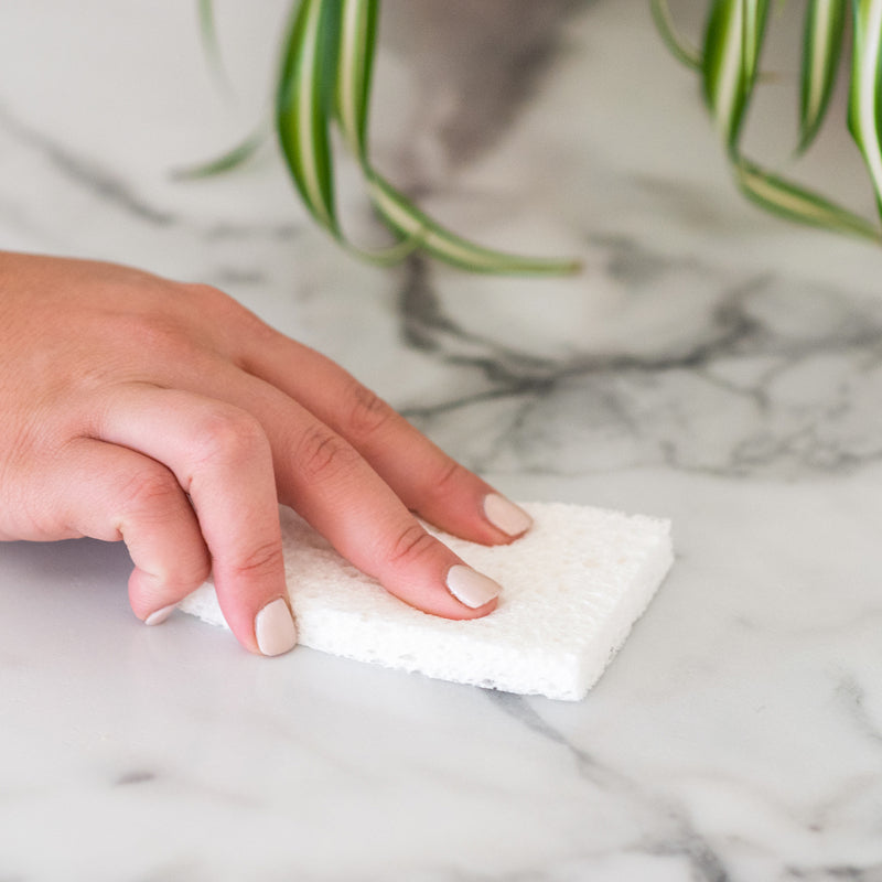 Full Circle - PLAIN JANE™ Plant Sponges - Made in CANADA