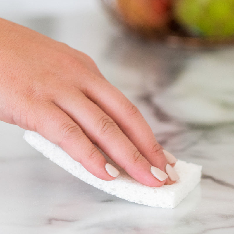 Full Circle - PLAIN JANE™ Plant Sponges - Made in CANADA