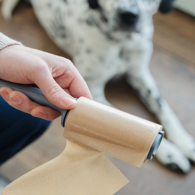 Full Circle - CLEAN OCEAN™ Lint Roller - 3pk