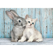 PZ500: CAT & BUNNY