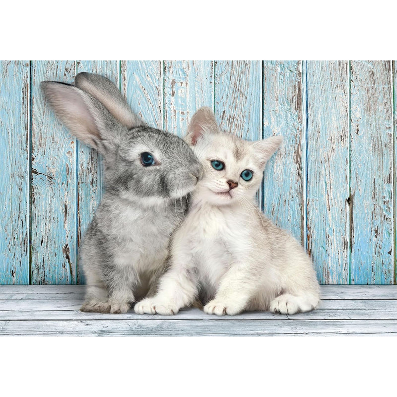 PZ500: CAT & BUNNY