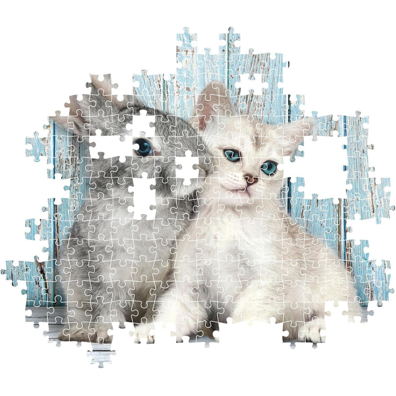 PZ500: CAT & BUNNY