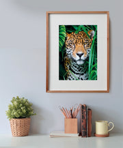 PZ500: JAGUAR IN THE JUNGLE