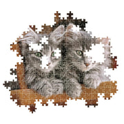 PZ500: KITTENS
