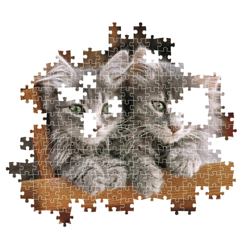 PZ500: KITTENS