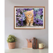 PZ500: GINGER CAT