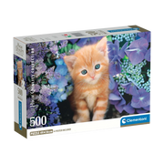PZ500: GINGER CAT