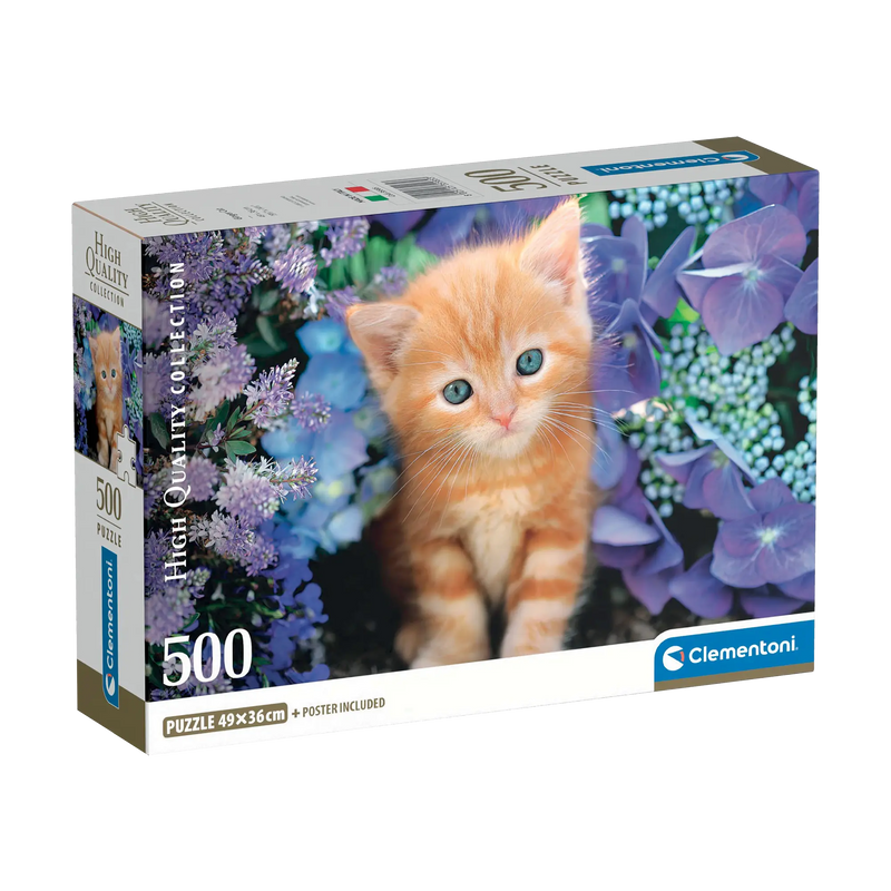 PZ500: GINGER CAT