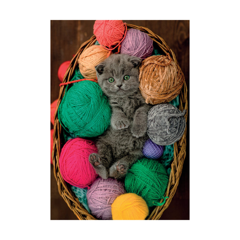 PZ500: FLUFFY KITTEN