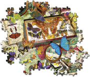 PZ500: THE BUTTERFLY COLLECTOR